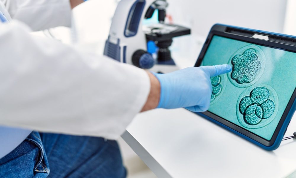 מהי תרומת ביציות, זרע ועוברים מדריך לטיפולי IVF עם תורם