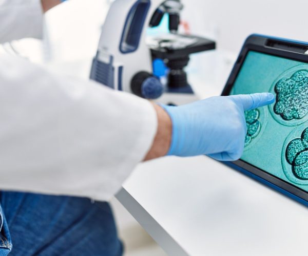 מהי תרומת ביציות, זרע ועוברים מדריך לטיפולי IVF עם תורם
