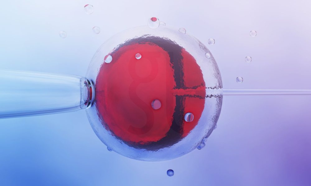 מהי IVF מדריך מלא להפריה חוץ-גופית