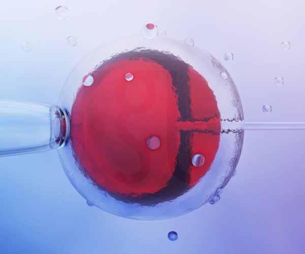 מהי IVF מדריך מלא להפריה חוץ-גופית